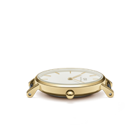 Orologio Daniel Wellington Donna Petite in Acciaio DW00100350 - DW00100350